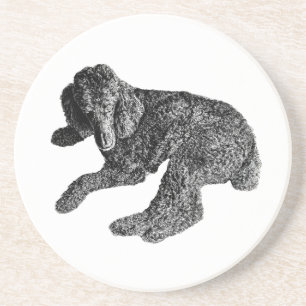 Lying Dog Coaster – Detailed Black & White Sketch