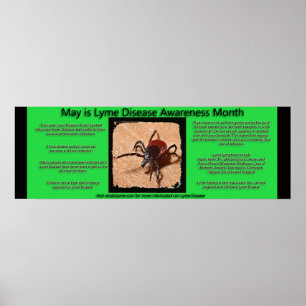 Lyme Disease Awareness Facts Poster