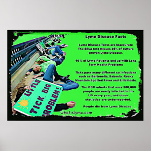 Lyme Disease Facts Poster