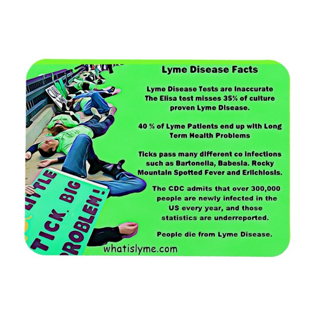 Lyme Disease Facts Protest Picture Magnet (Horizontal)