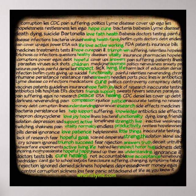 Lyme Disease Feelings Poster, Denied, Ignored Poster (Front)