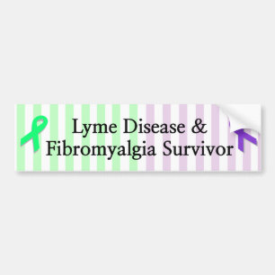 Lyme Disease & Fibromyalgia Survivor Bumper Sticke Sticker