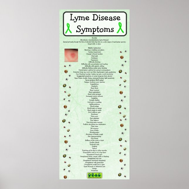 Lyme Disease Symptoms Chart Poster educational (Front)