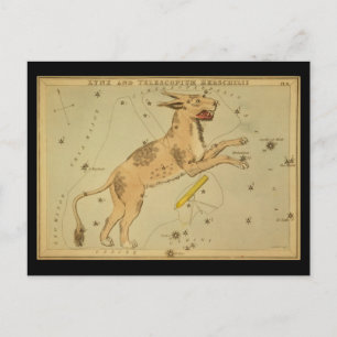 Lynx and Telescopium Herschilii Postcard