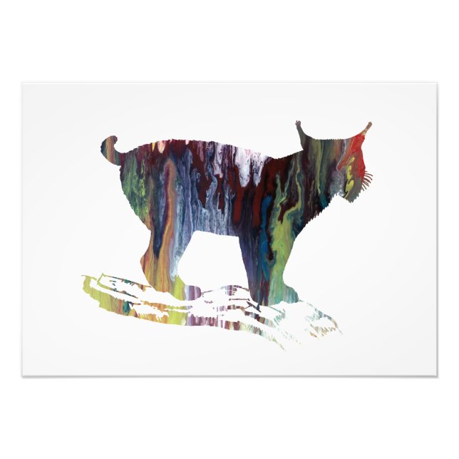 Lynx Art Photo Print (Front)