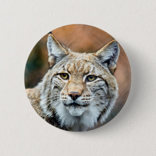 Lynx Bobcat Wildlife Predator Cat 6 Cm Round Badge