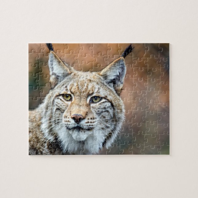 Lynx Bobcat Wildlife Predator Cat Jigsaw Puzzle (Horizontal)