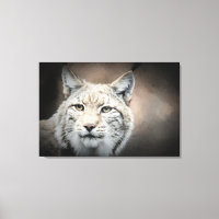 Lynx