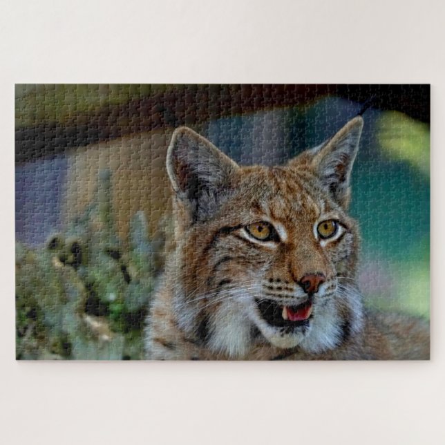 lynx cat puzzle (Horizontal)