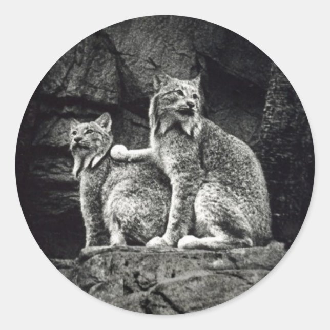 Lynx Classic Round Sticker (Front)