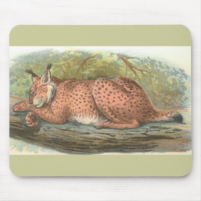 Lynx, Felis lynx Mouse Pad (Front)