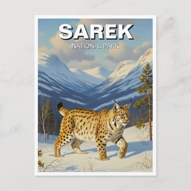 Lynx in Sarek National Park Sweden Travel Postcard (Front)