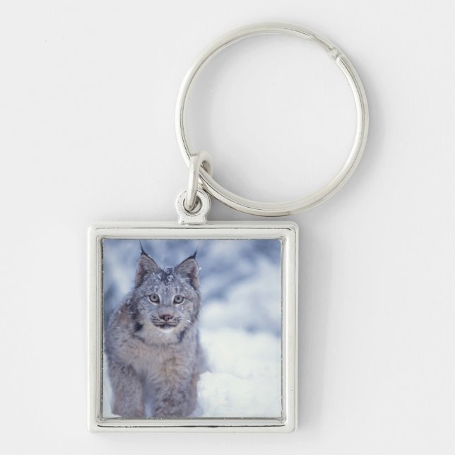 Lynx in the snow in the foothills key ring (Front)