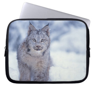 Lynx in the snow in the foothills laptop sleeve