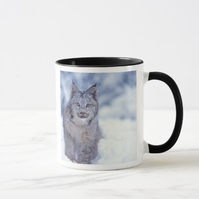 Lynx in the snow in the foothills mug (Right)