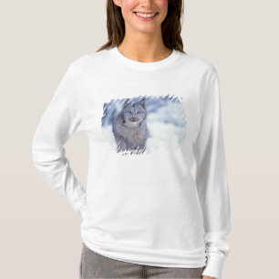 Lynx in the snow in the foothills T-Shirt