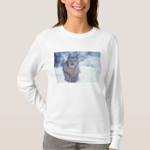 Lynx in the snow in the foothills T-Shirt