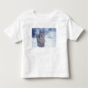 Lynx in the snow in the foothills toddler T-Shirt