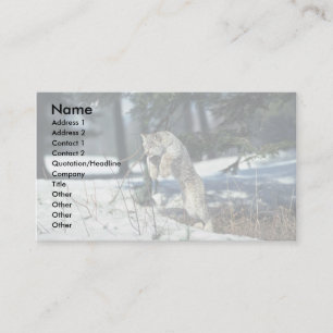 Lynx leaping, bounding on snow business card