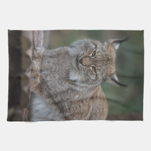 Lynx Looking At You Fleece Blanket Tea Towel