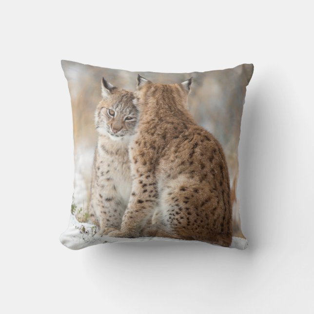 Lynx love cushion (Front)