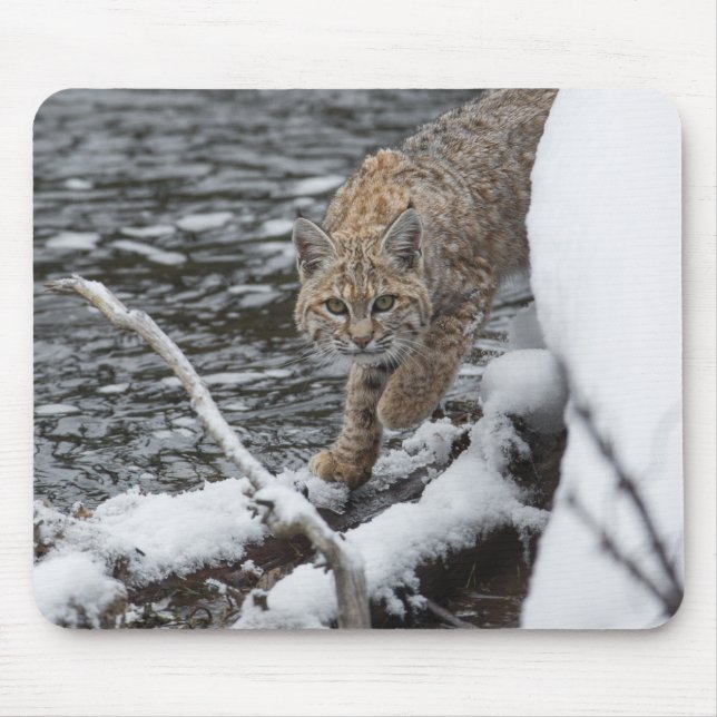 Lynx Mouse Pad (Front)