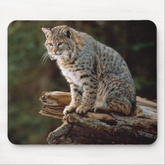 Lynx Mouse Pad