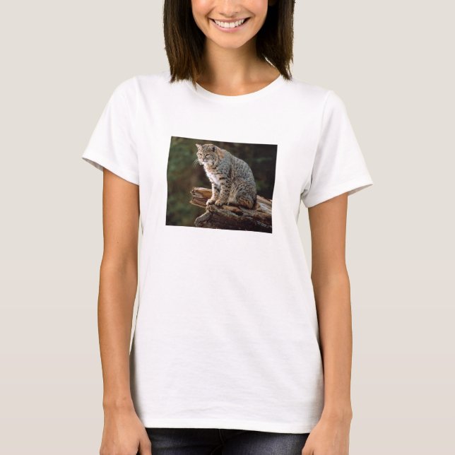 Lynx on log T-Shirt (Front)