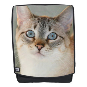 Lynx Point Siamese Cat Backpack