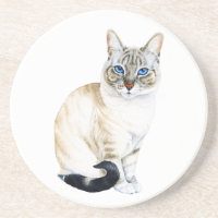Lynx Point Siamese Cat