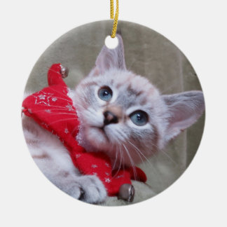 Lynx Point Siamese Ornament