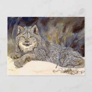 Lynx Postcard
