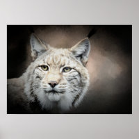 Lynx