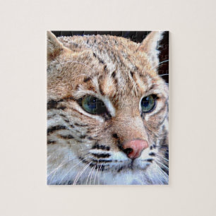 Lynx Puzzle