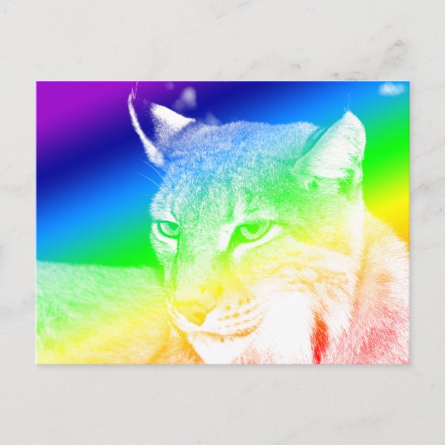 Lynx Rainbow Highlights Postcard (Front)