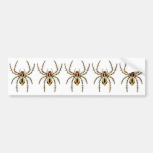 Lynx Spider Bumper Sticker