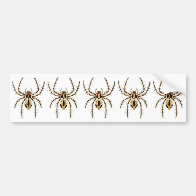 Lynx Spider Bumper Sticker (Front)