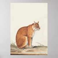 Lynx Vintage nature cat wildlife painting