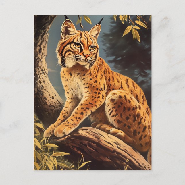 Lynx vintage postcard (Front)