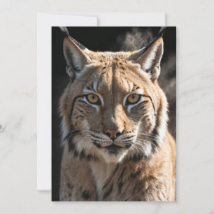 Lynx Wild Animal Elegant Dramatic Mist Portrait  Announcement