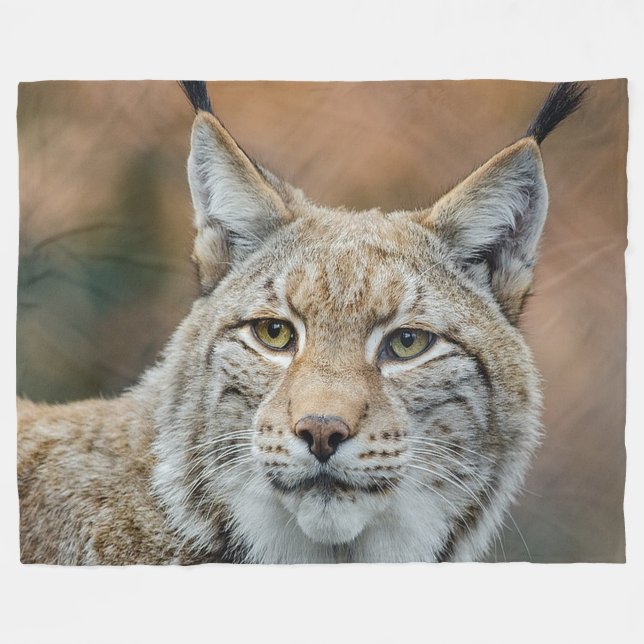 Lynx Wild Cat Fleece Blanket (Front (Horizontal))