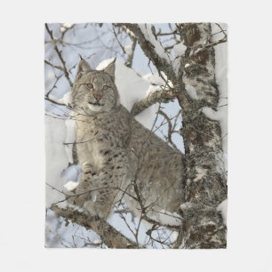 Lynx Wild Cat Fleece Blanket