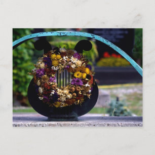Lyre With Strawflowers Postcard
