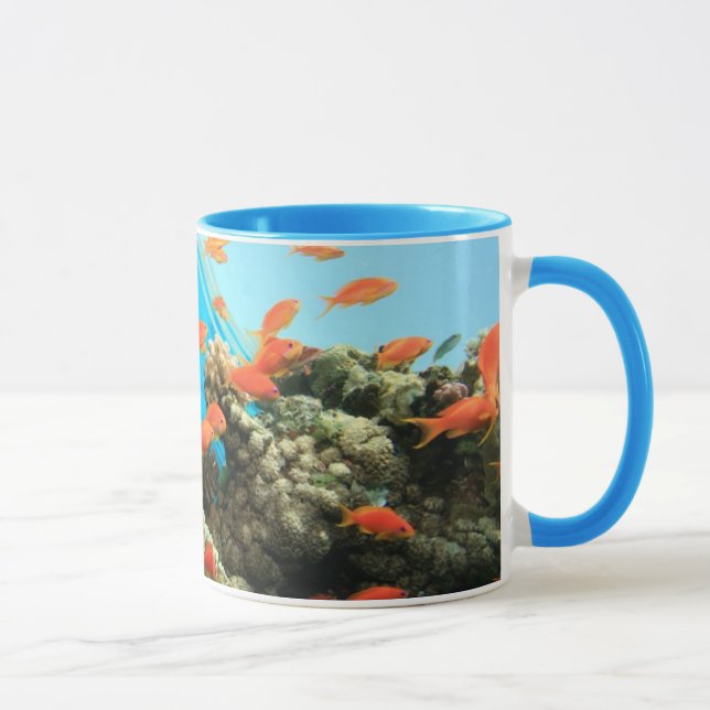 Lyretail anthias on coral reef mug (Right)