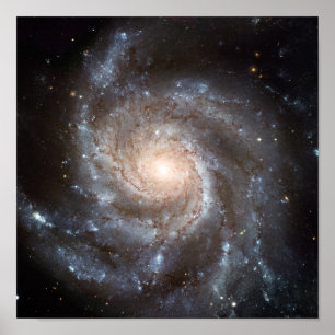 M101 Galaxy Poster