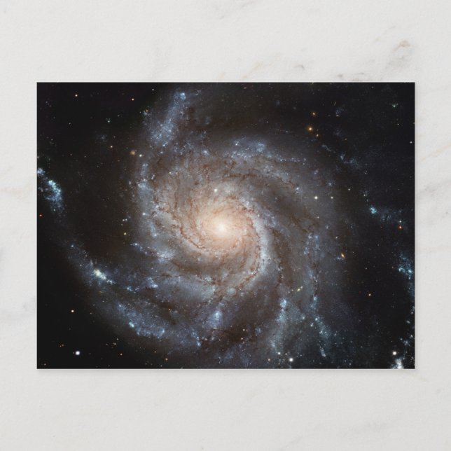 M101 Pinwheel Spiral Galaxy NASA Postcard (Front)