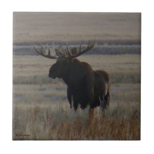 M1 Bull Moose Big Bull Tile
