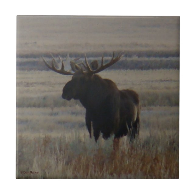 M1 Bull Moose Big Bull Tile (Front)