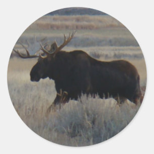 M2 Bull Moose Big Bull Classic Round Sticker