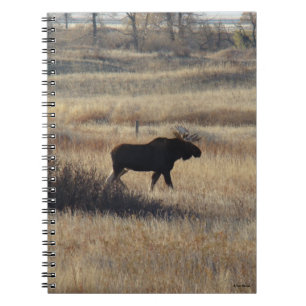 M5 Bull Moose and Sand Hills Notebook